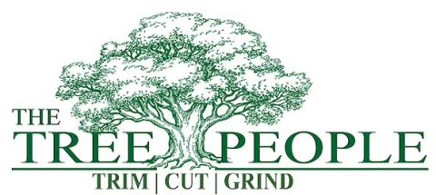 Tree Removal Services - The Tree People